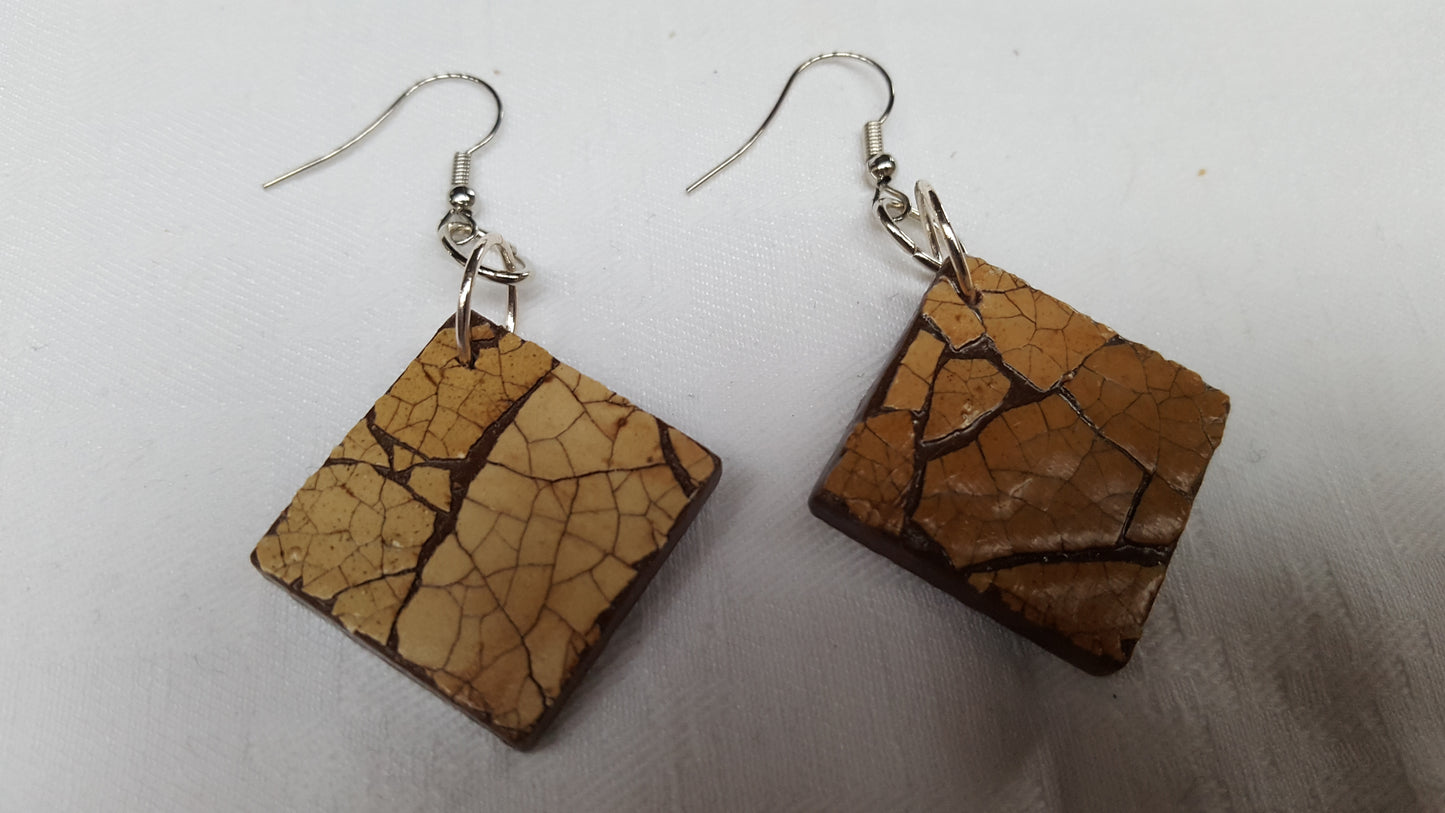 18322 - Magnifiques boucles d’oreilles Eggshell brunes